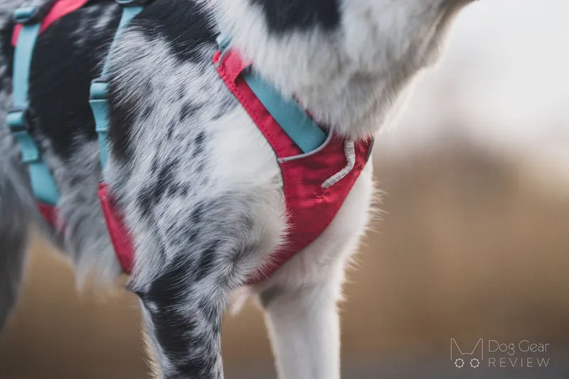 Front chest leash attachment point on the Ruffwear Flagline harness for no-pull training