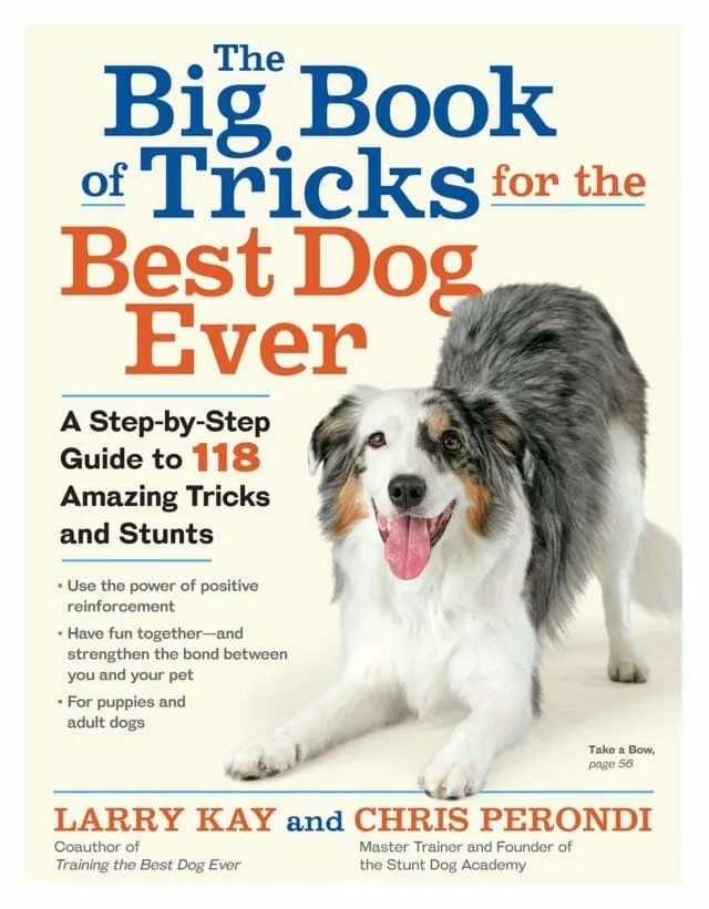 Front cover of 'The Big Book of Tricks for the Best Dog Ever,' a highly recommended dog trick training book