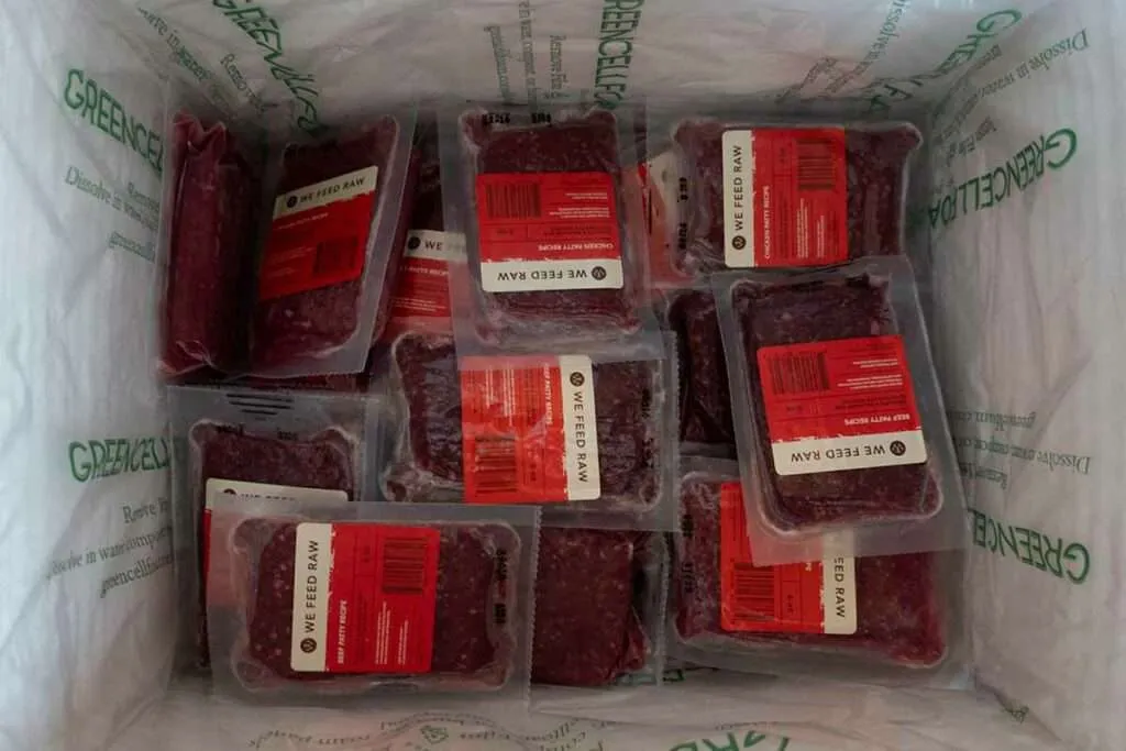 Frozen We Feed Raw meals inside a delivery box, ready for freezer storage
