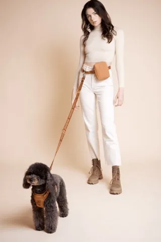 Go! With Ease Leash Bundle