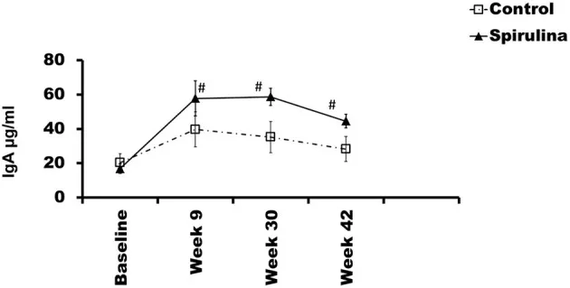 Graph showing increased fecal IgA levels in dogs supplemented with spirulina over 42 weeks, indicating enhanced gut immune response compared to the control group.