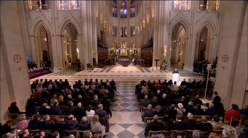 Guidance and understanding: Leading the way through complex dog care decisions.