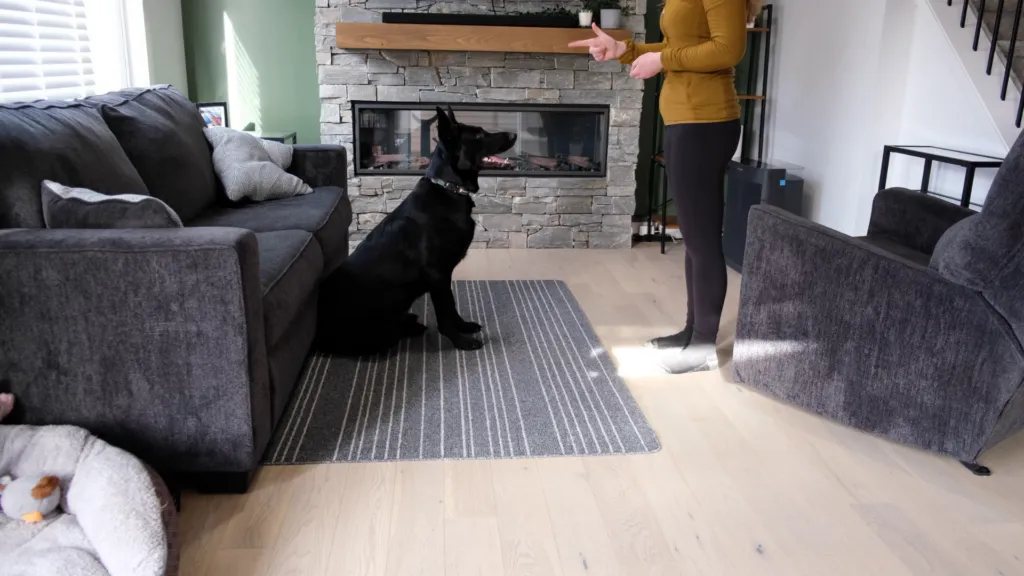 Guide your dog from a sit to the play dead position