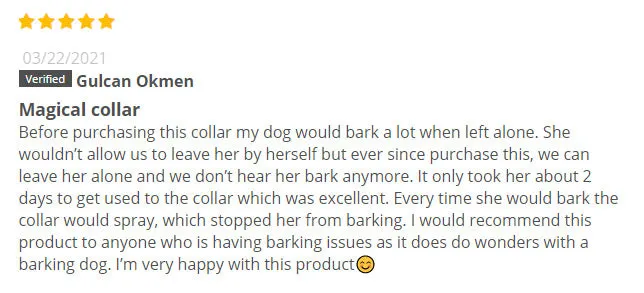 Gulcan Okmen customer review for Barktec BT100 collar