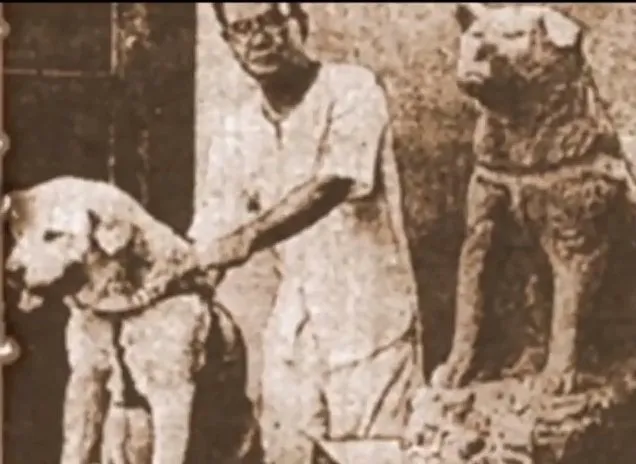 Hachiko, the legendary Akita dog, pictured alongside his first bronze statue at Shibuya Station.