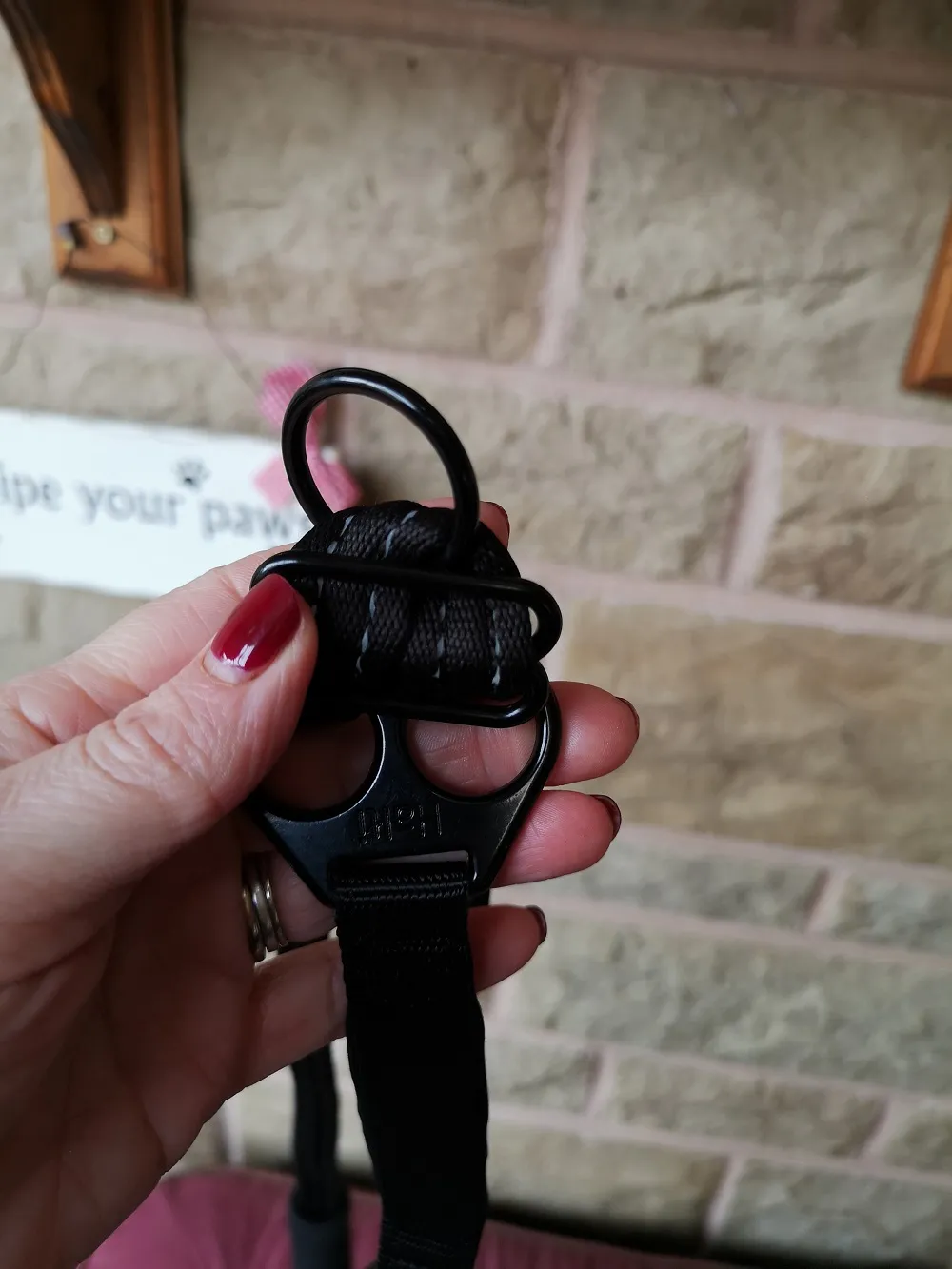 HALTI No-Pull Harness back attachment point.