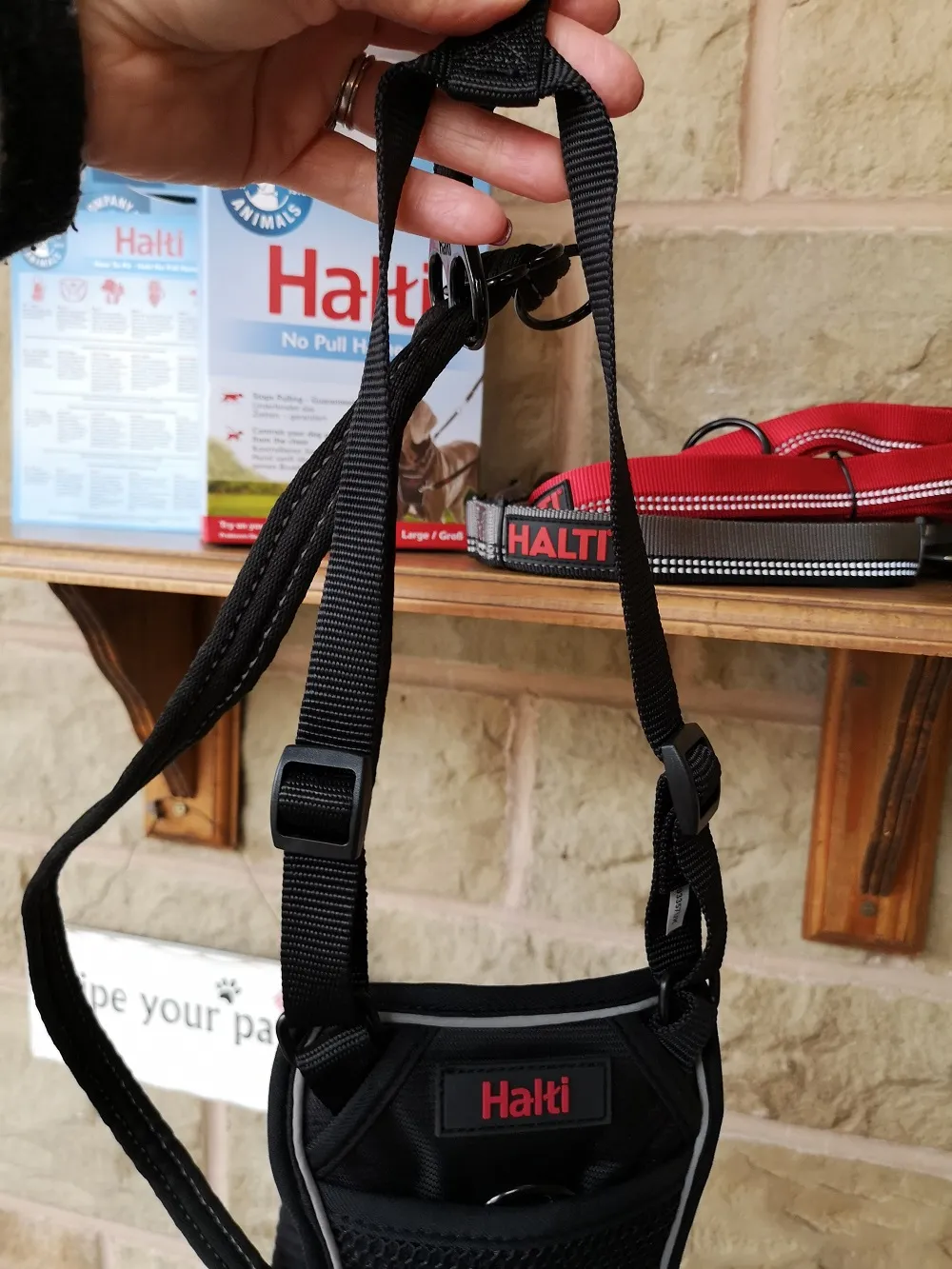 Hands holding HALTI No-Pull Harness