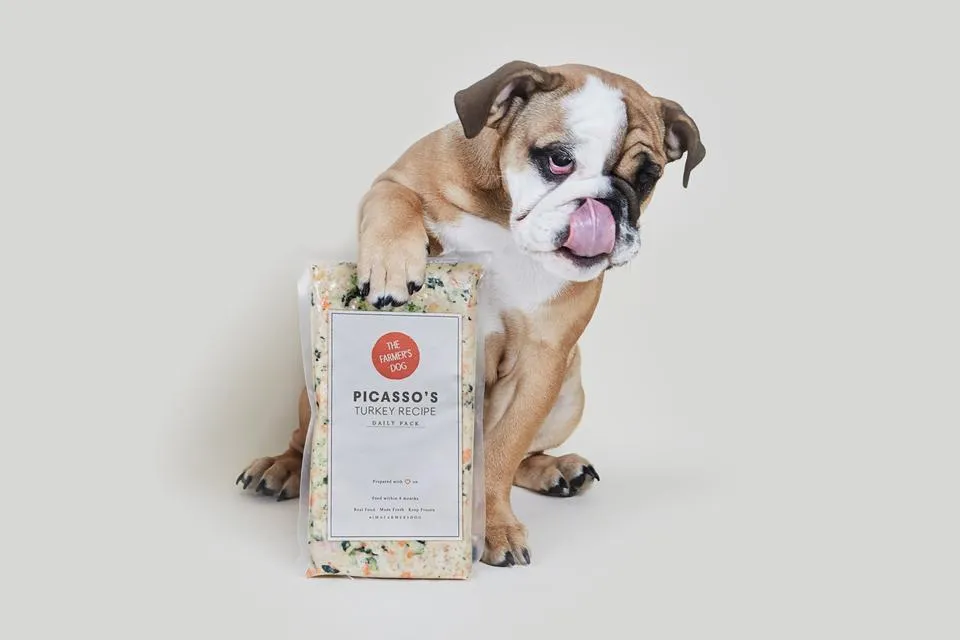 Happy dog anticipating a fresh meal, symbolizing The Farmer's Dog approach to canine nutrition.