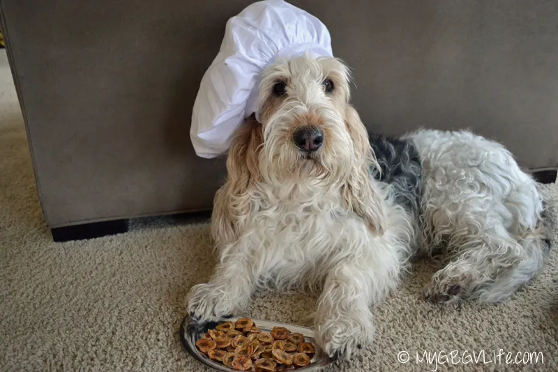 Happy dog enjoying oven-baked banana chips, a simple homemade dehydrated treat