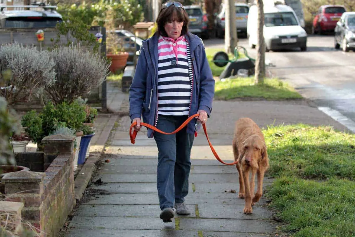 Happy dog owner Dee Sedgwick with her well-behaved dog Harley, trained using the Jingler