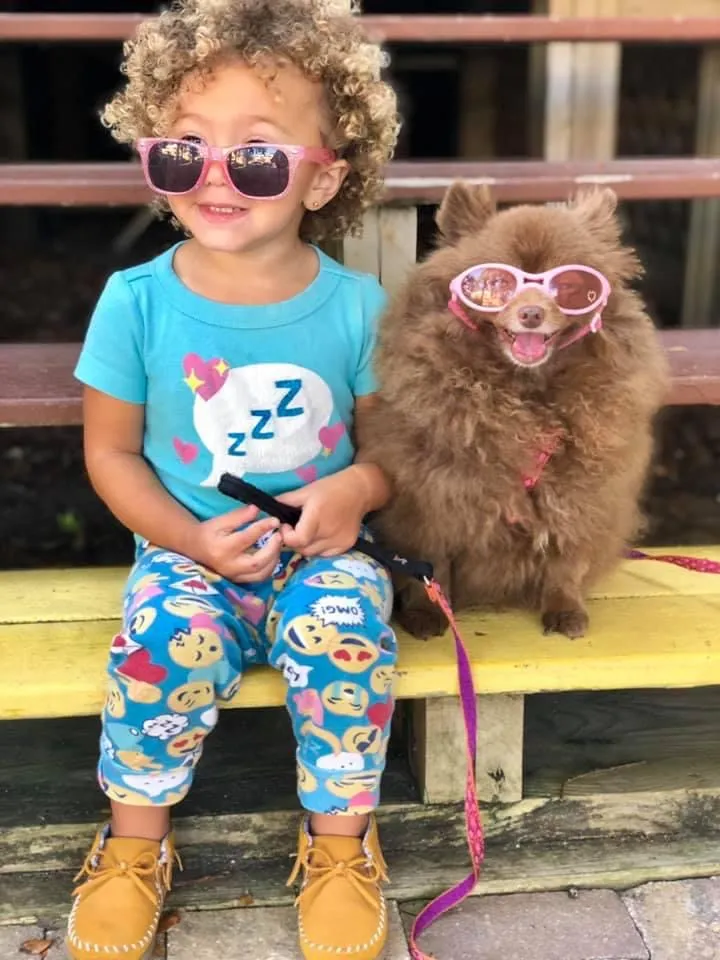 Happy dog relaxing on a sofa, enjoying comfortable in-home pet care