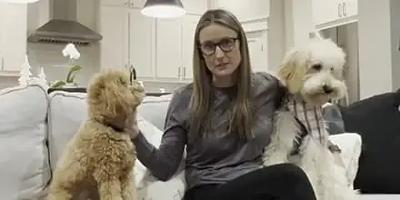 Happy family sharing their experience with their beloved Teacup Goldendoodle from a reputable breeder