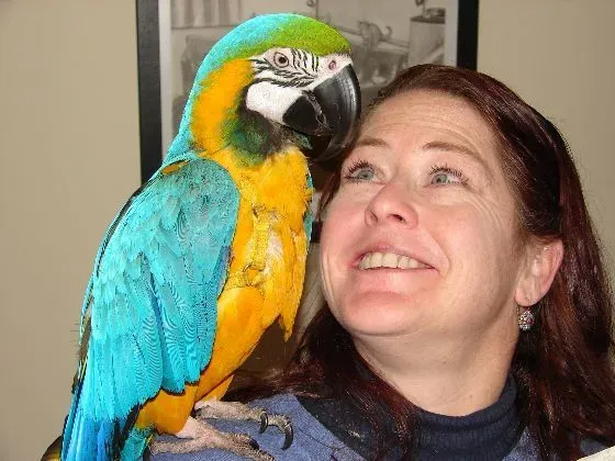 Happy parrot client with owner at an avian exotic vet clinic receiving specialized care