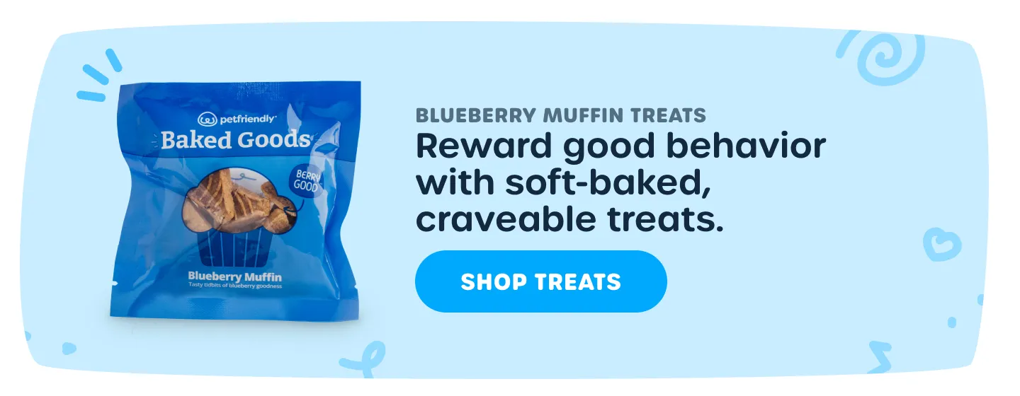 Healthy blueberry baked goods for puppy training