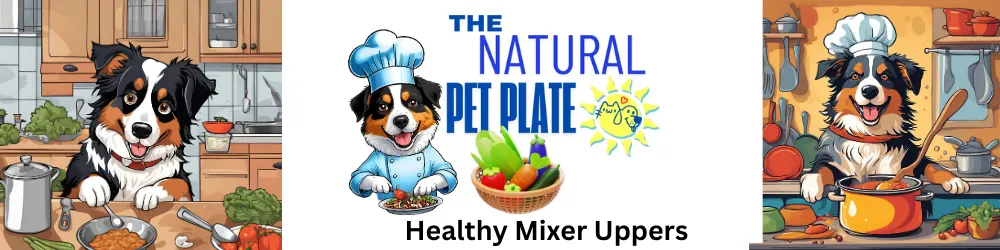 Healthy dog food mixer and fresh ingredients for nutritious pet meals