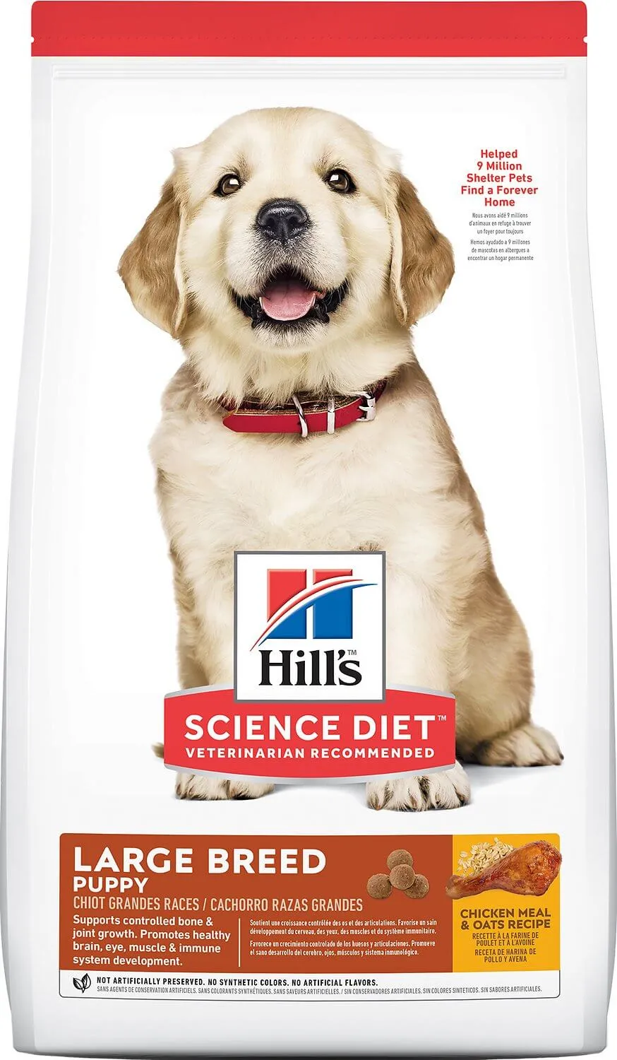 Hill's Science Diet Puppy Large Breed dry dog food packaging, highlighting its formula for growing large breed puppies.