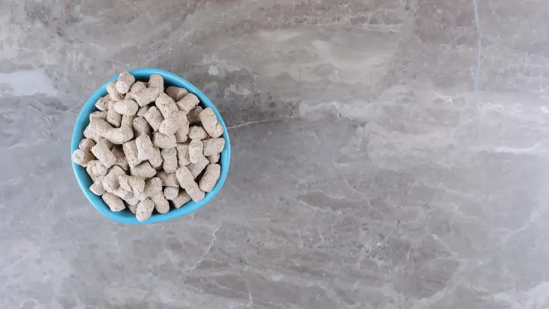 homemade dog treats on a baking sheet