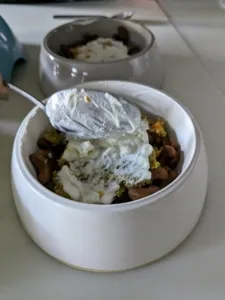Homemade yogurt being served to dogs with homemade food