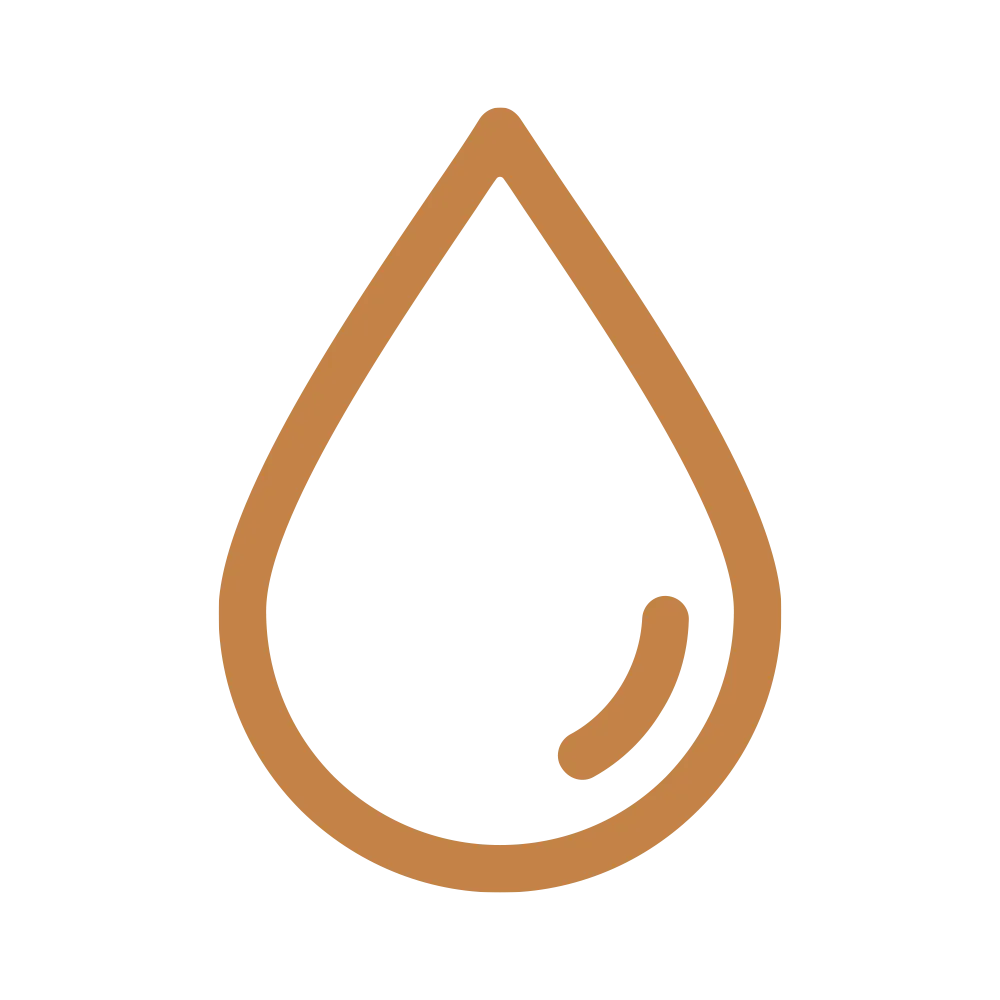 Icon of a dog and water with a red 'no' symbol