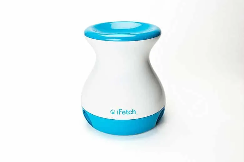 iFetch Frenzy Dog Toy