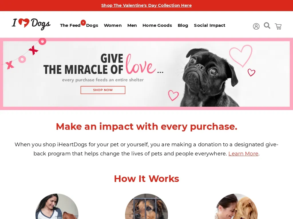 iHeartDogs founder speaking at an event, illustrating dog treat business success stories