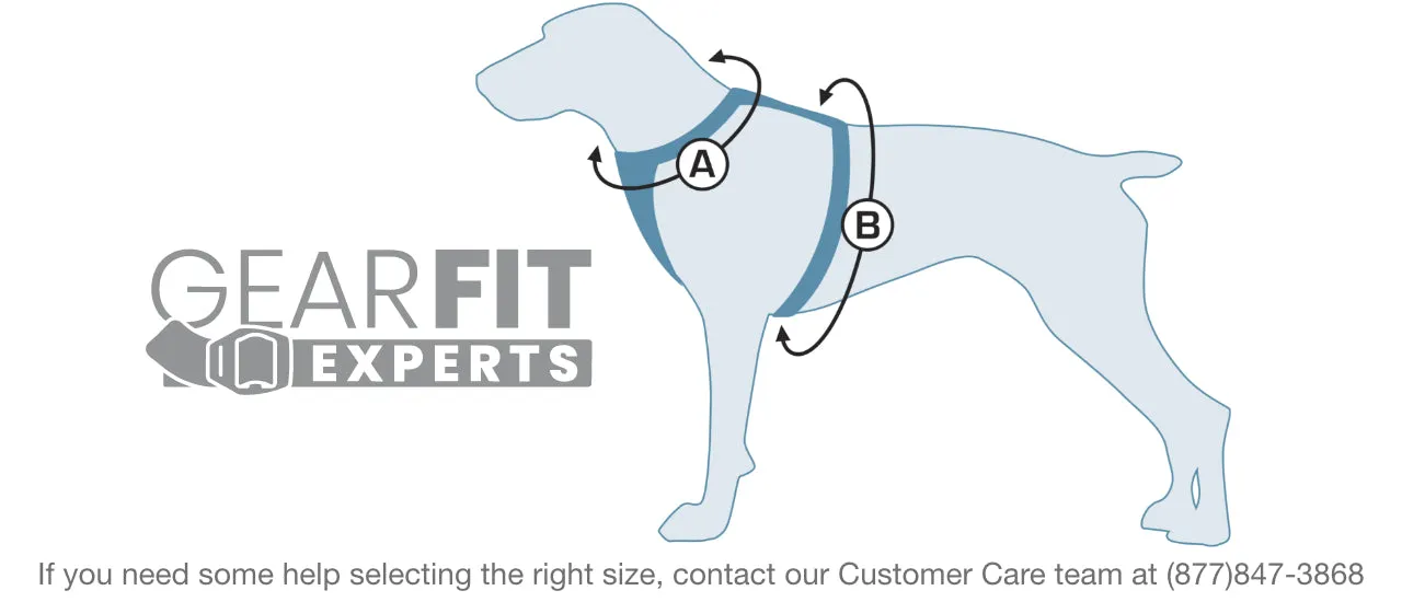 Illustrated guide on how to measure a dog for the Kurgo seat belt harness
