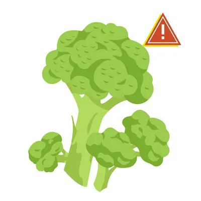 Illustration of broccoli