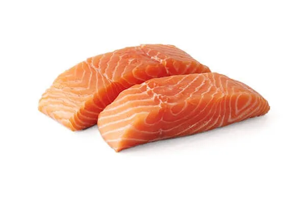 Illustration of ingredients in salmon dog food