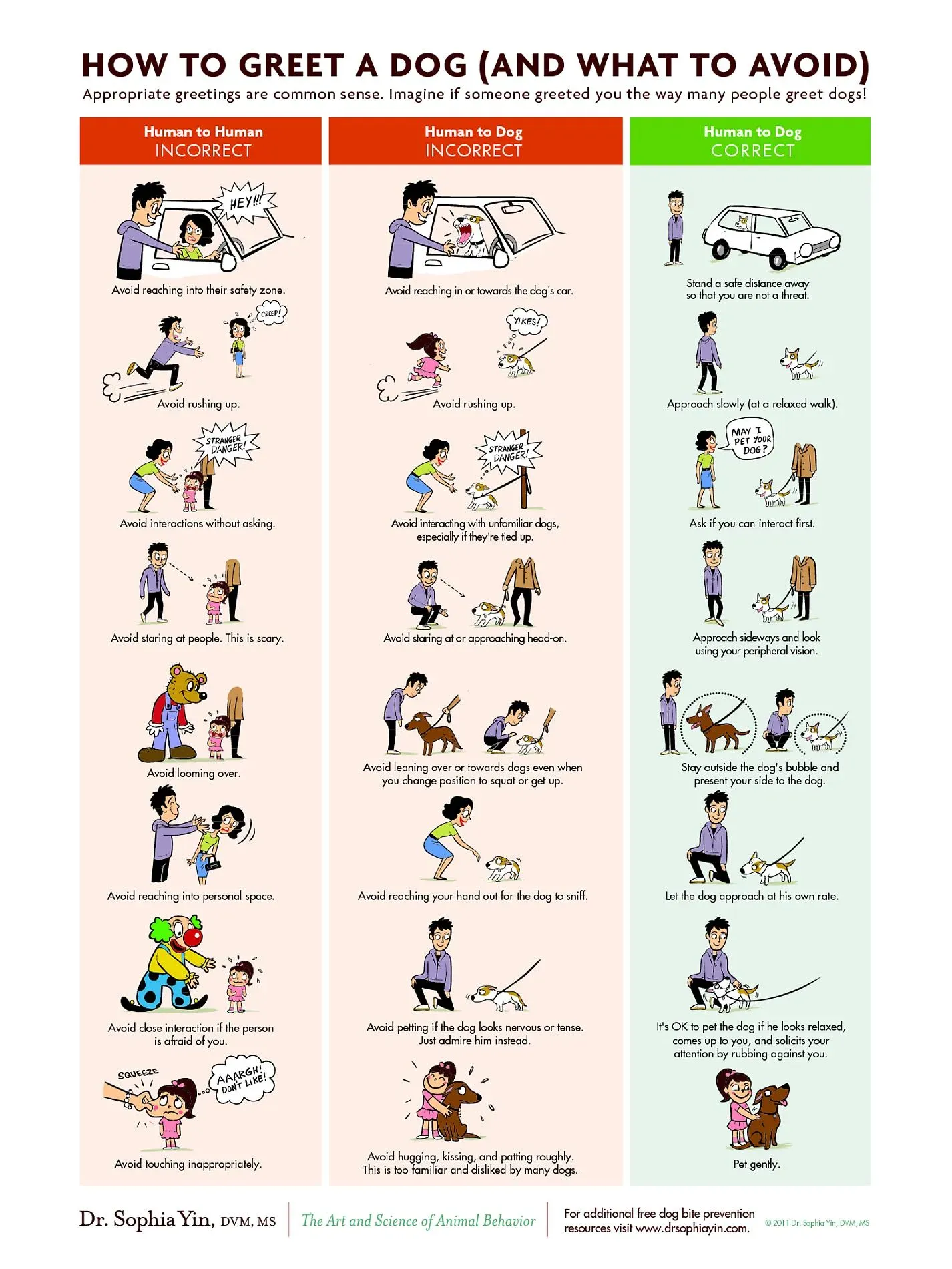 Illustration showing correct and incorrect ways to approach an unfamiliar dog, emphasizing the importance of respecting a dog's personal space and body language.