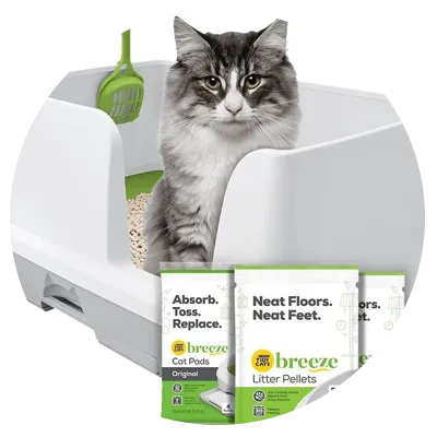 Image of a cat litter box