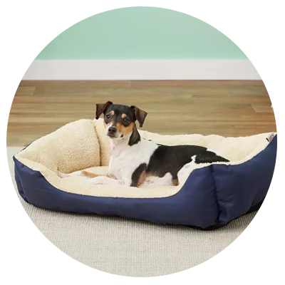 Image of a dog bed