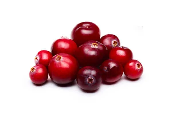 Image of fresh cranberries, highlighting their antioxidant properties in healthy dog food.