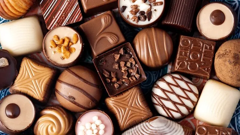 Image warning against feeding chocolate to dogs and cats