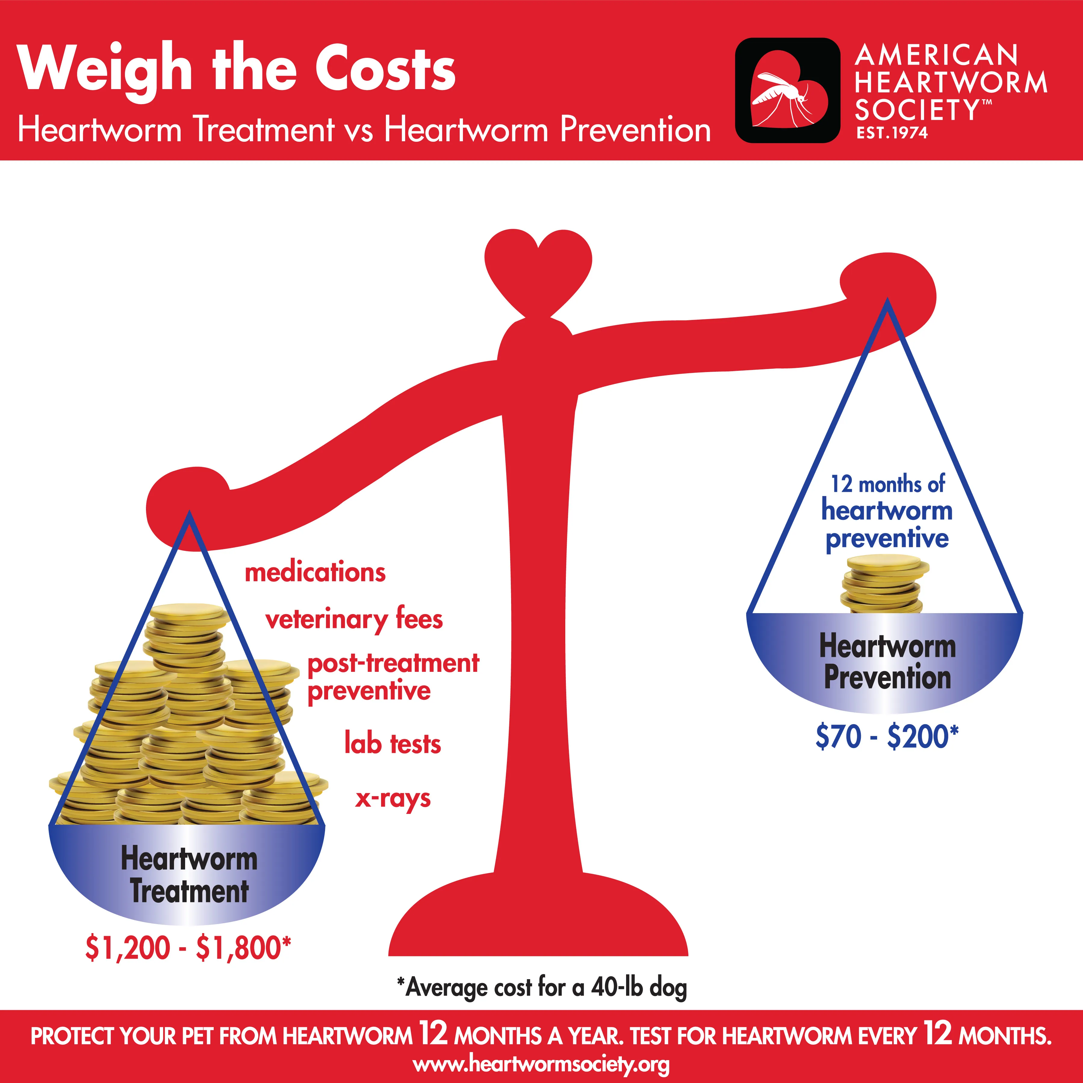 Infographic comparing the costs of heartworm prevention versus heartworm treatment for dogs