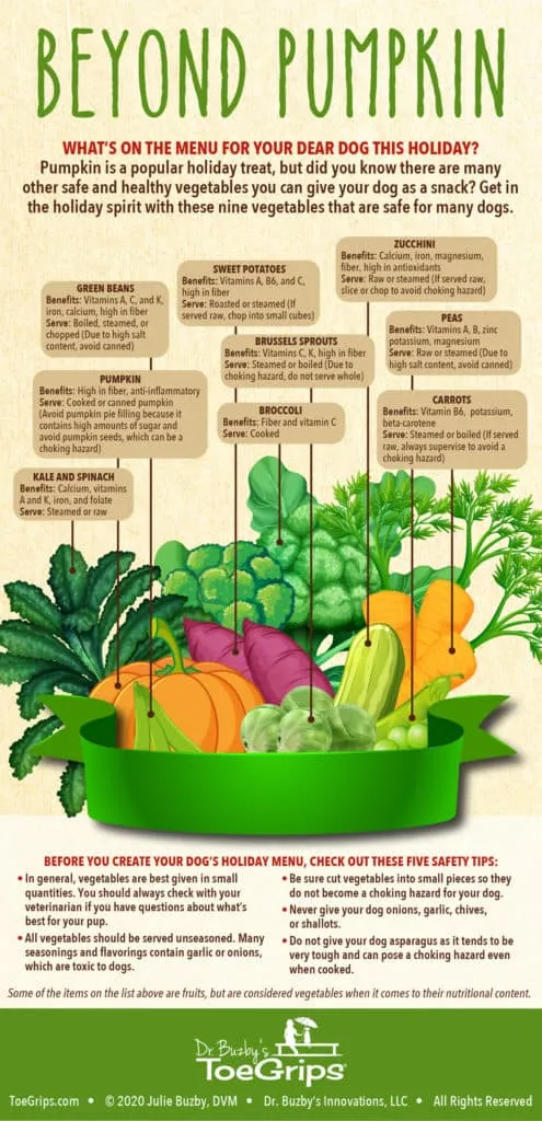 Infographic detailing ten healthy vegetables dogs can eat every day, highlighting benefits such as improved digestion, immune support, and essential nutrients.
