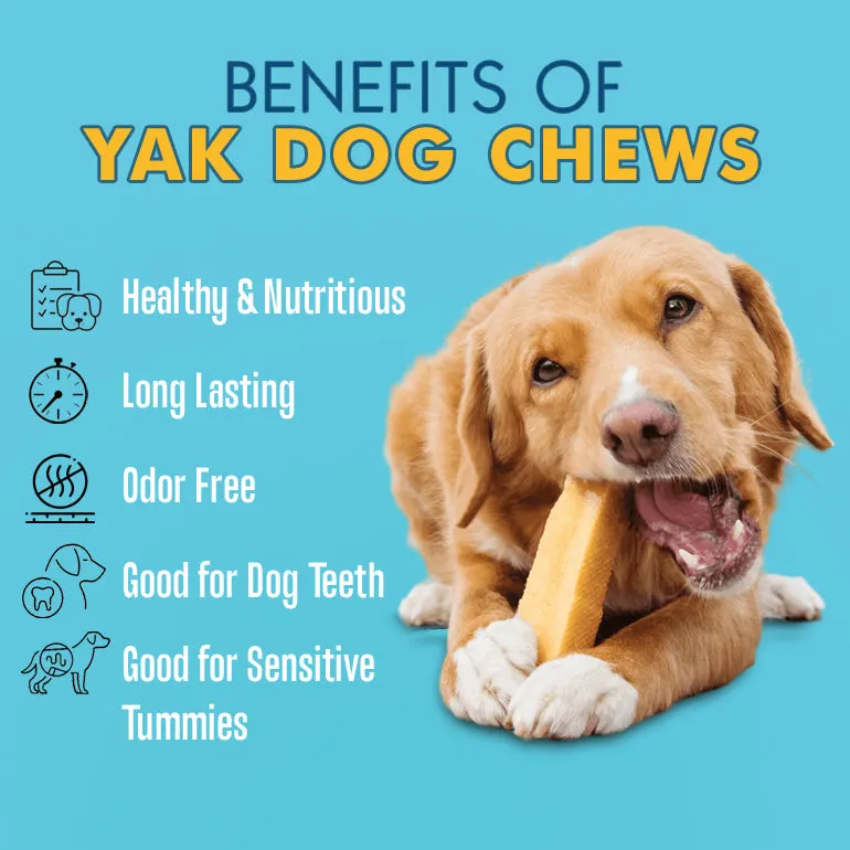 Infographic detailing the benefits of yak dog chews, including dental health and protein content