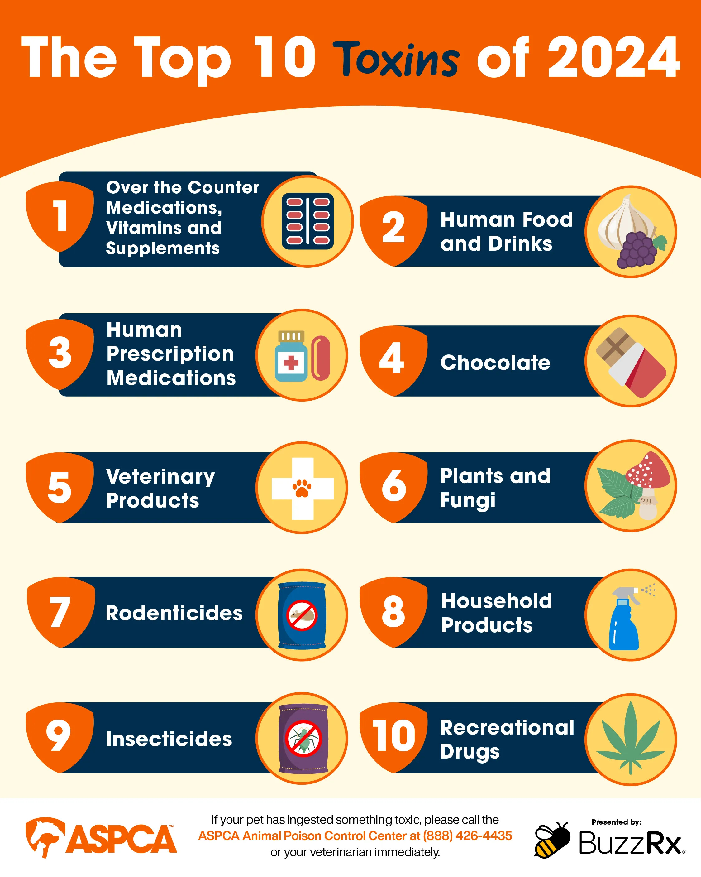 Infographic detailing the top 10 dog toxins for 2024, including medications, human food, chocolate, and household products.