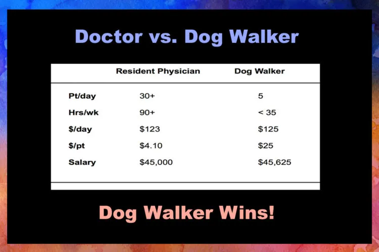 Infographic illustrating the potential hourly earnings of a dog walker versus other professions.