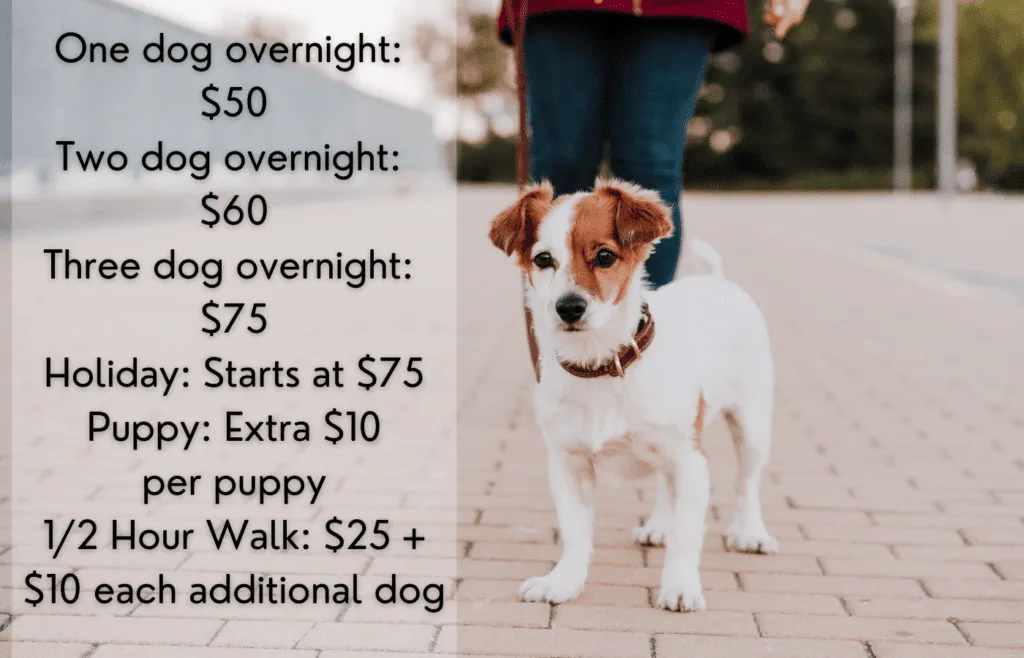 Infographic illustrating typical dog minding and pet sitting rates per service, guiding new professionals.