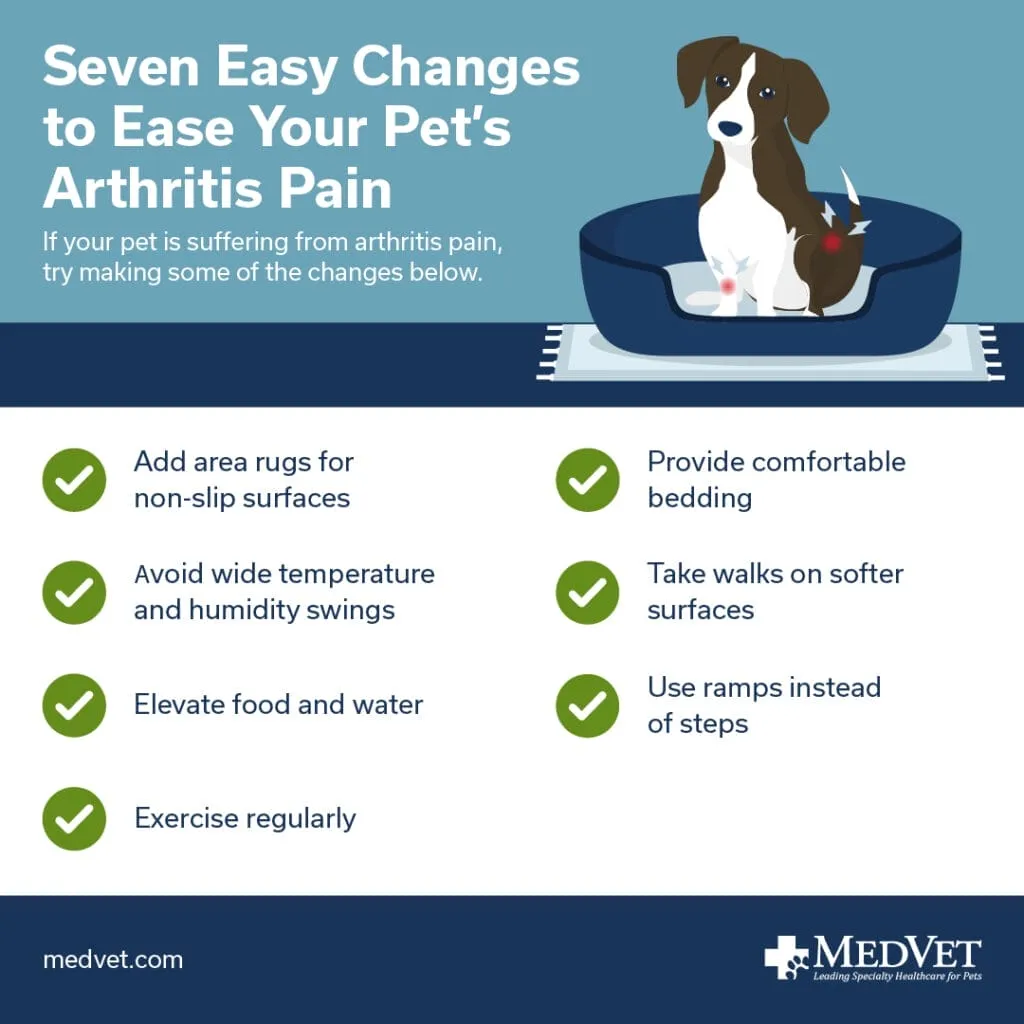 Infographic with tips to help pets with arthritis, showing activities like gentle walks, ramps, comfortable bedding, and anti-inflammatory diets
