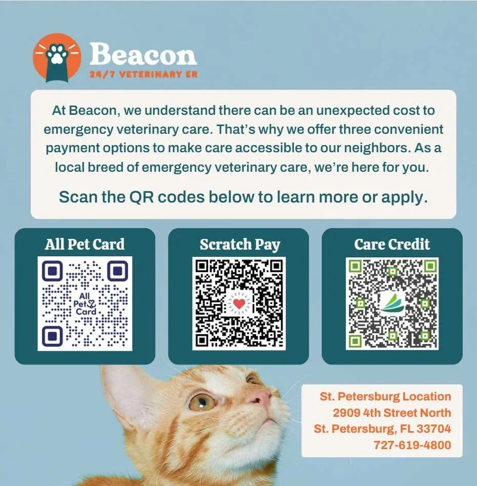 Informational flyer for emergency pet services, showing financing partners and contact details
