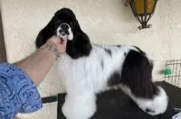 Ingredients to Avoid