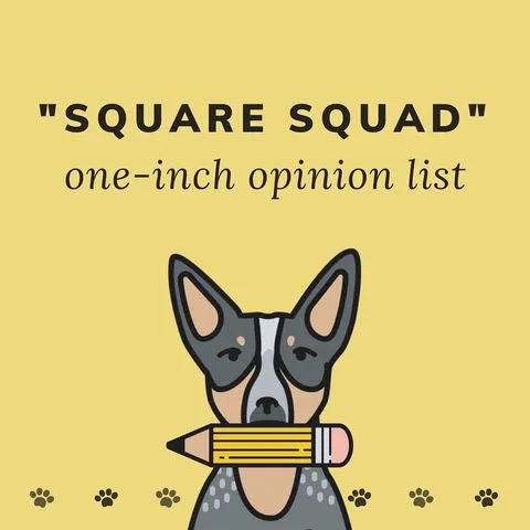 Instagram post detailing Brené Brown's "square squad" concept, applicable to building confidence as a new dog owner.
