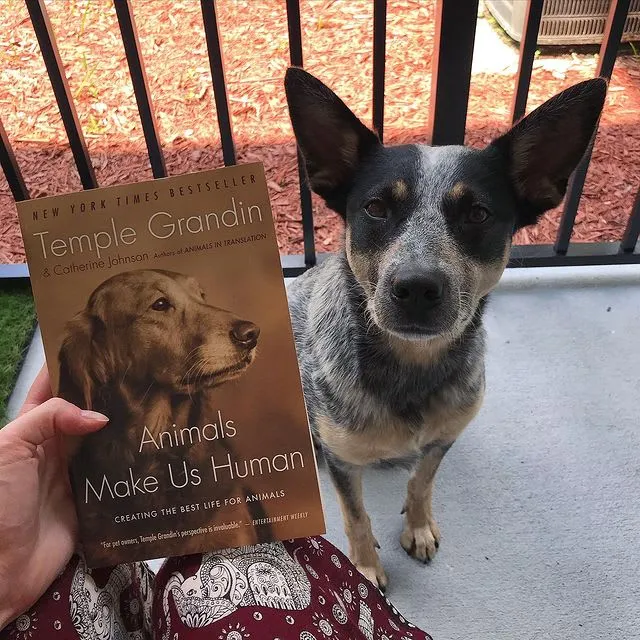 Instagram post discussing Temple Grandin's "Animals Make Us Human," offering insights into animal emotions for dog owners.