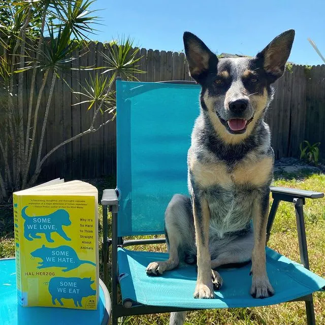 Instagram post from paws.andreflect discussing Some We Love, Some We Hate, Some We Eat by Hal Herzog