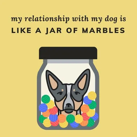 Instagram post illustrating the "marble jar analogy" from Brené Brown, useful for understanding trust in dog-human relationships.
