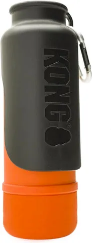 Insulated dog travel water bottle with carabiner