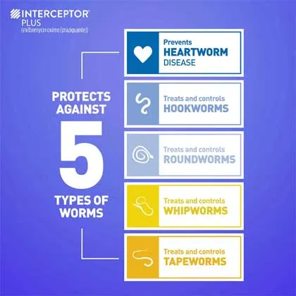 Interceptor Plus: once-a-month, tasty real-chicken chew that protects against five common parasites