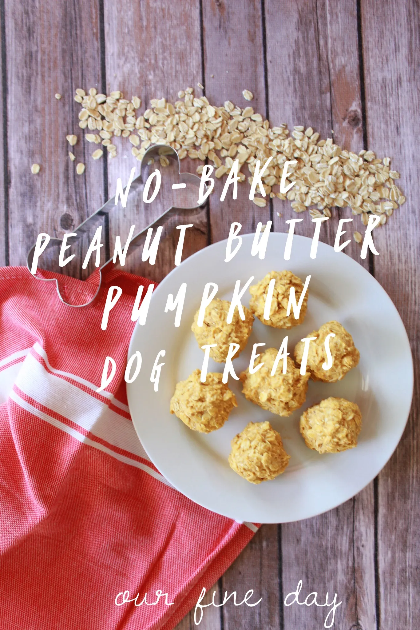 Jack and Macey, two beloved Mastiff American Bulldog mix dogs, posing attentively, representing the happy recipients of wholesome homemade soft dog treats no bake.