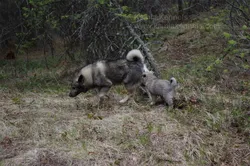 Jaegar with his half-sister Birgit